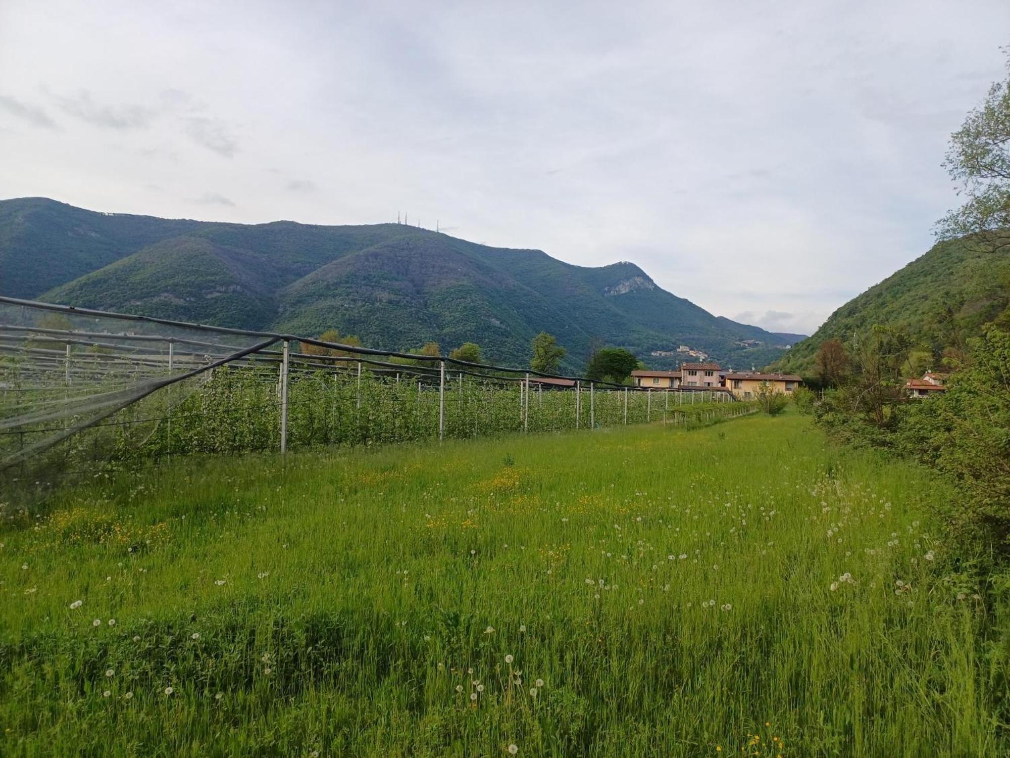 Villanuova sul clisiCascina Legnago Bilocale A 6 Chilometri Da Salo'公寓 外观 照片